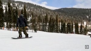 2023 Salomon Assassin Pro Snowboard Review (2024 Same Tech; Different Graphic) | Curated