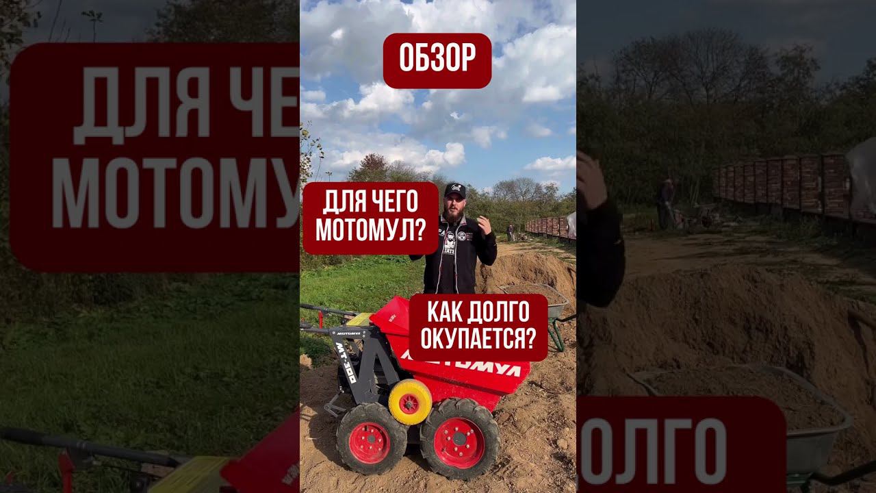 Мотомул обзор #shorst #ландшафтныйдизайн #благоустройство #дача