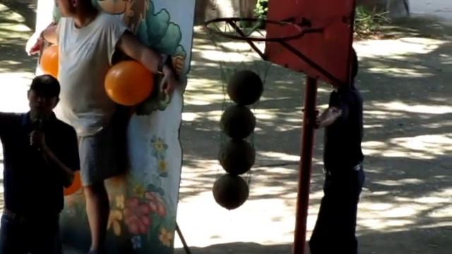 Шоу слонов, Elephant show
