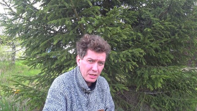 Зачем Собянину тестировать всю Москву на КОВИД-19? Каннибализм и забота о людях? Хм... смотреть онлайн