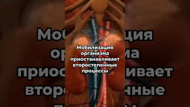 РАК. Гормоны. Секреты выздоровления