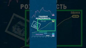 Вы не поверите, где самая высокая рождаемость в мире