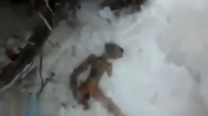 Нашли гуманоида