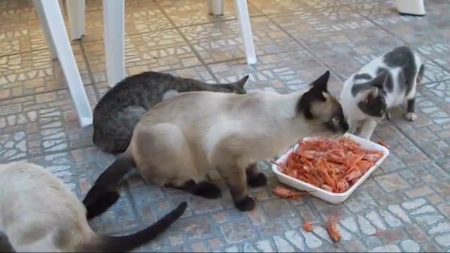 Я здесь главный. смотреть онлайн