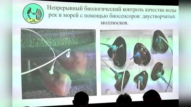 Непрерывный биологический контроль качества воды рек и морей с помощью биосенсоров