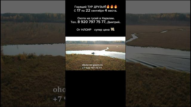 Горящий тур на гуся!🐦🔥🎯