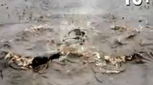 Рыбалка вблизи ЛЭП