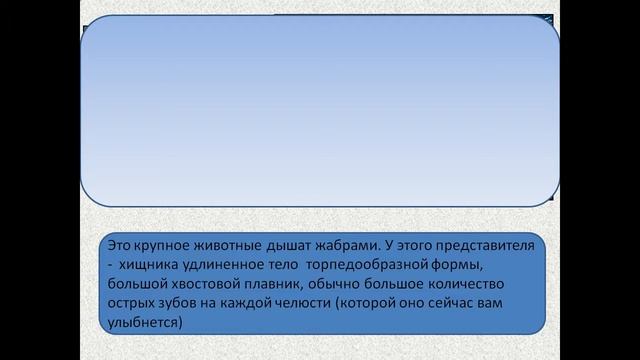 Приспособления животных к среде обитания смотреть онлайн