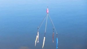 Зонтик для рыбалки. Имитация стайки малька.