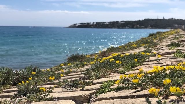 Лазурный берег. От Ниццы и Монте-Карло до Канн и Сен-Тропе смотреть онлайн