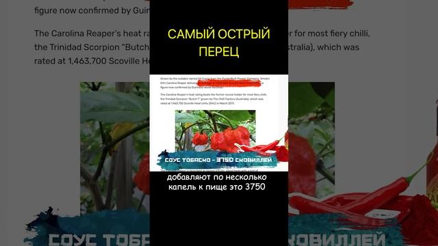 Самый острый перец в мире #shorts смотреть онлайн