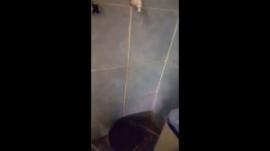 Shower terapi dari iklan fb