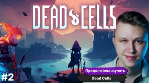 Пробный стрим, Dead Cells, продолжаем изучать игру