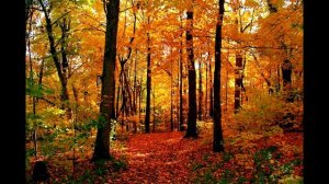 Маргарита Алигер "Осень только взялась за работу..."