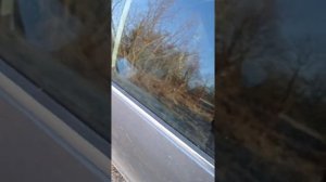 Почему старая машина лучше, чем новая