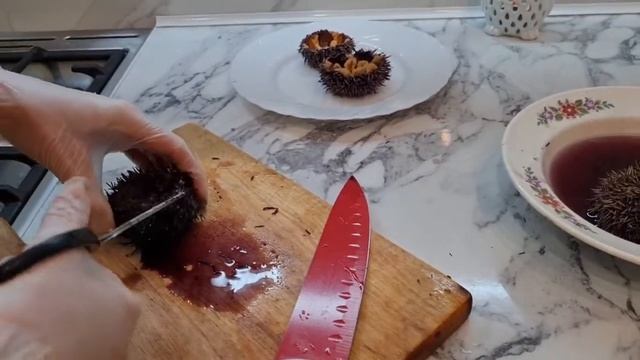 Как разделать морских ежей. Как есть морского ежа. Деликатесы северного моря. Икра ежей. Delicious. смотреть онлайн