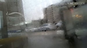 Автобус 11 "Ж/д. ст. "Предпортовая".- Троицкое поле " .