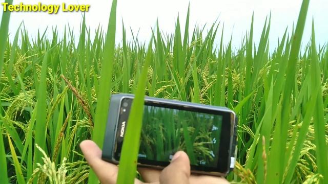 Nokia N8 Photography Carl Zeiss 12 MP Camera || Nokia Best Camera Phone Nokia N8 || Technology Love смотреть онлайн