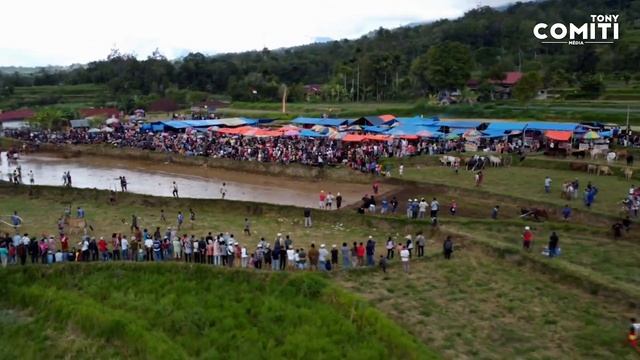 Le Jean-Claude Van Damme de Sumatra смотреть онлайн