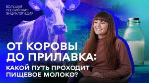 От коровы до прилавка: какой путь проходит пищевое молоко?