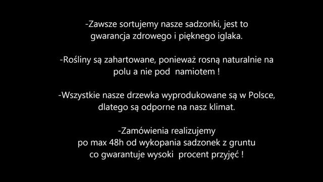 Sadzonki 2/0 Świerk Srebrny "Kaibab" 15-30 cm Producent Treesplant.pl смотреть онлайн