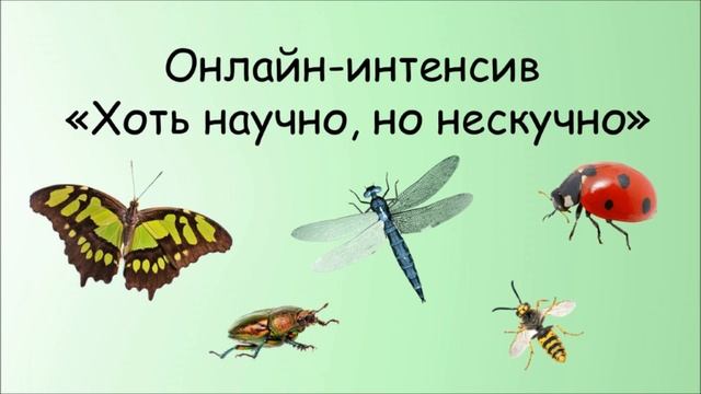 Онлайн-интенсив «Хоть научно, но нескучно» смотреть онлайн