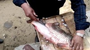 Как быстро снять чешую