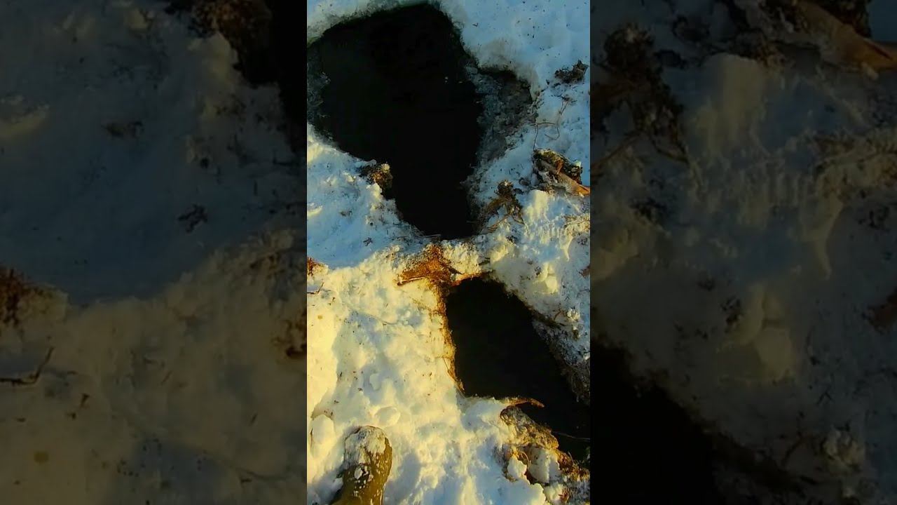 ЗАМОР РЫБЫ ЗИМОЙ смотреть онлайн