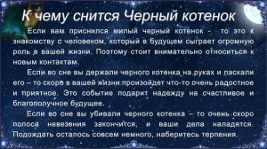 К чему снится Черный котенок (Сонник)