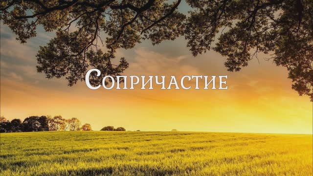 Сопричастие. Стихотворение в прозе и монтаж Любови Чернышовой, читает автор. Фон -Эннио Морриконе