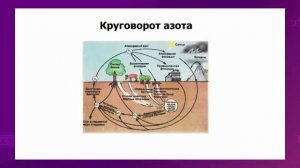 Биология. 9 класс. Круговорот азота и углерода в природе. Биохимические процессы в биосфере