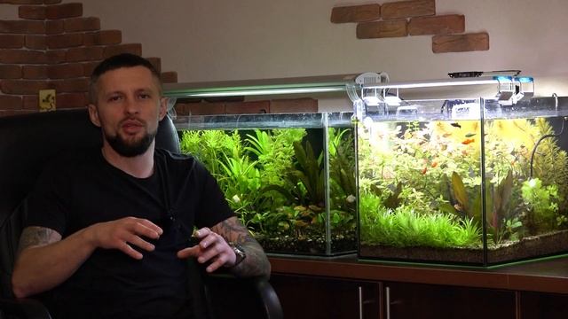 Что такое хлороз аквариумных растений