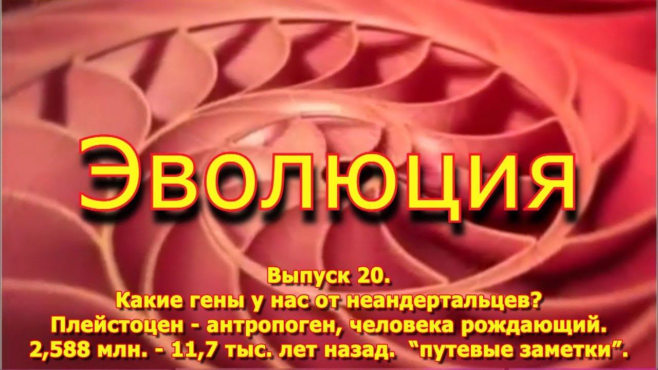 Какие гены у нас от неандертальцев? Плейстоцен - антропоген, человека рождающий