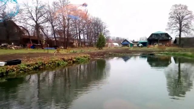 БОЛЬШОЙ КАРП ТОЖЕ ПОПАЛСЯ Пруд своими руками. Кастинговая сеть.