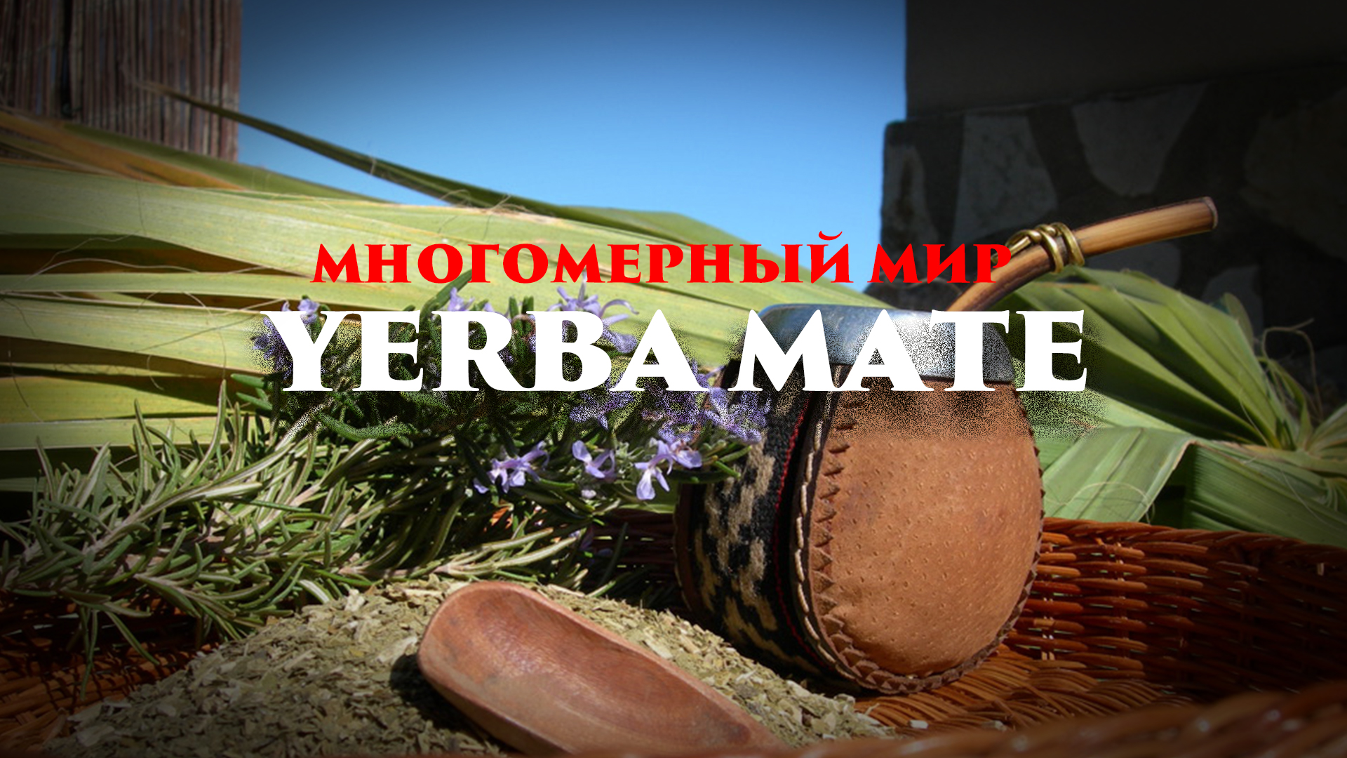 Напиток силы, наставник: Yerba Mate