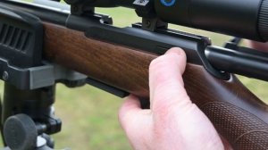 CZ 457 American Beech Stock 17 HMR, Full Review and Hunting with PARD DS 35-50 Night Vision