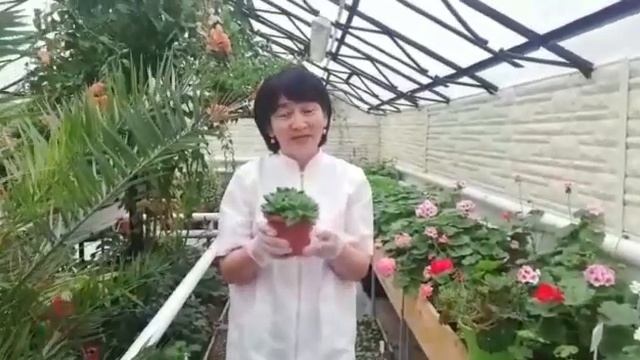 "Эко калейдоскоп" жобасы жалғасуда! смотреть онлайн