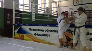 Как научиться бить МАВАШИ ГЕРИ | Традиционное исполнение кругового удара ногой | Метод тренировки