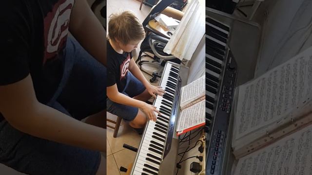 2020 10 30 1 Богдан Мелодия из Крёстного отца смотреть онлайн