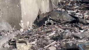 бродячие кошки  на руинах города мариуполь в украине. новости .брошенные животные ходят ищут пропит