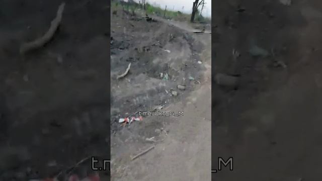 Уничтоженная техника ВСУ на Запорожском направлении. смотреть онлайн