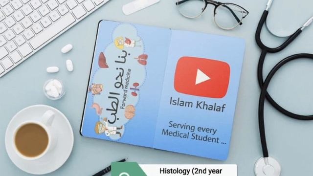 Histology (2nd year "Systems" ) Dr. Shady - Respiratory (4) + GIT (7) смотреть онлайн