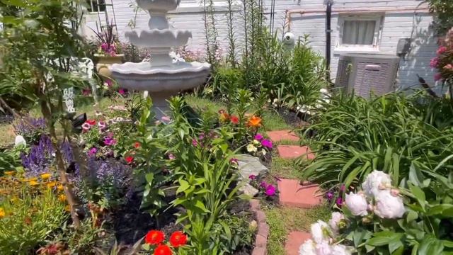 Hummingbird Garden Tour 2023 Zone 7a смотреть онлайн