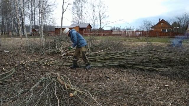 С чего начинается хозяйство. Расчистка участка от деревьев и кустарника. Рабочие будни.