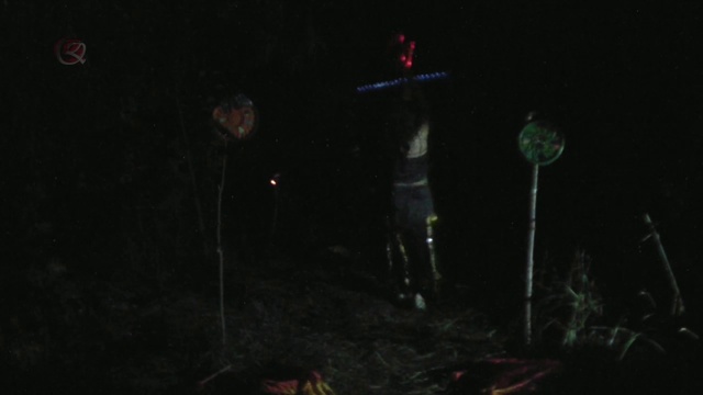 ночью приколы со светяшками смотреть онлайн