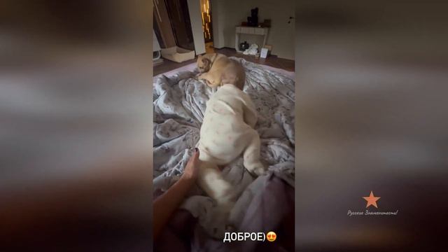 Утро Ольги Орловой с Анютой!
