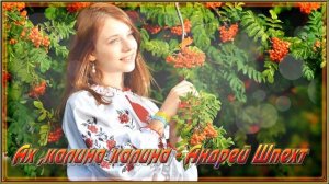 Ах, калина калина - Андрей Шпехт