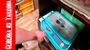 Провальная инкубация с китайского инкубатора