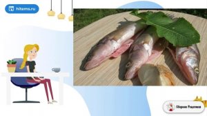 Копчение судака в коптильне. Рецепты блюд с фото простые и вкусные