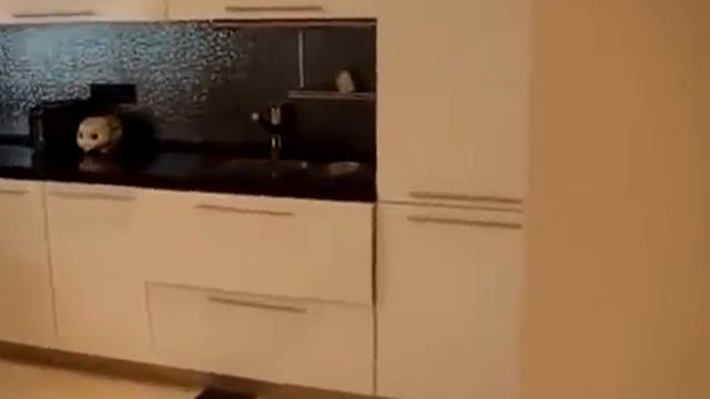 Элитный ремонт однокомнатной квартиры смотреть онлайн